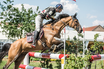 Rekord zgłoszeń na LOTTO Baborówko Horse Sale Show 2020